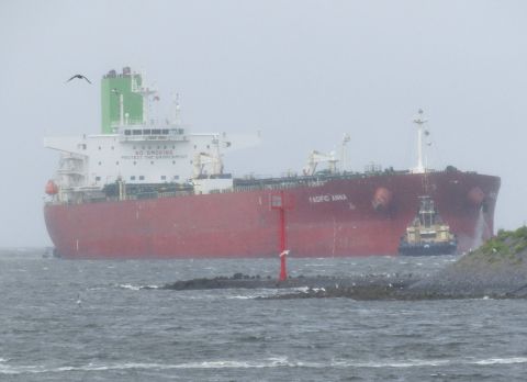 PACIFIC ANNA in IJmuiden, 13 jul 2024