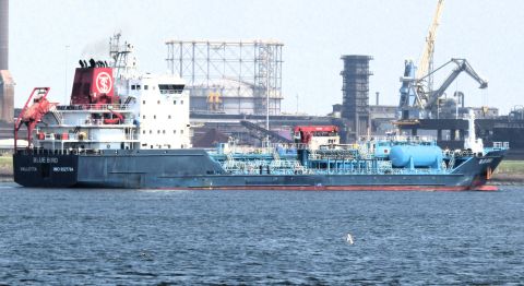BLUE BIRD in IJmuiden, 6 aug 2024