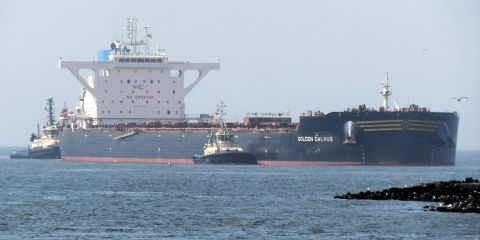 GOLDEN CALVUS in IJmuiden, 6 aug 2024