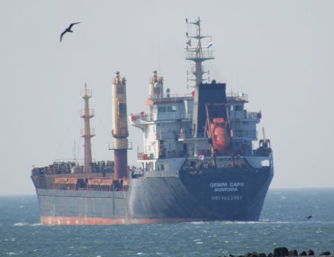 GEMINI CAPO in IJmuiden, 5 sep 2024