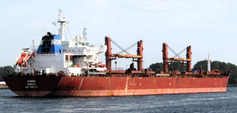 AVIONA in IJmuiden, 6 sep 2024