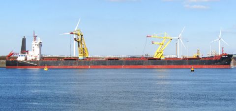 CAPE OWL in IJmuiden, 5 okt 2024