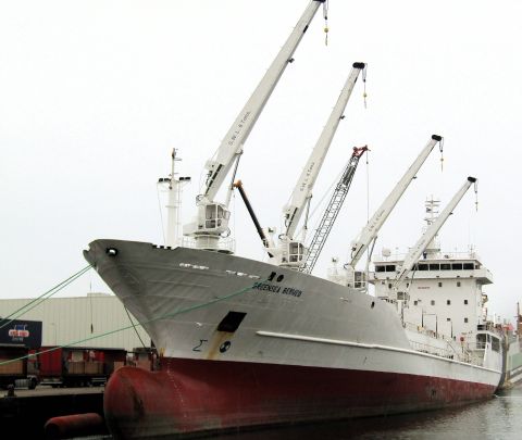 GREENSEA BERMEO in IJmuiden, 21 okt 2024