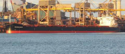 LOWLANDS CENTURY in IJmuiden, 12 nov 2024