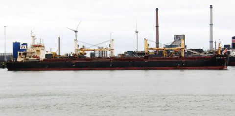 STAR PEGASUS in IJmuiden, 15 nov 2024