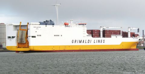 GREAT ANTWERP in IJmuiden, 17 nov 2024