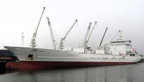GREENSEA BERMEO in IJmuiden, 12 dec 2024
