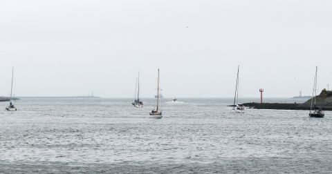 Pieren IJmuiden 30-05-25 in IJmuiden, 30 mei 2025