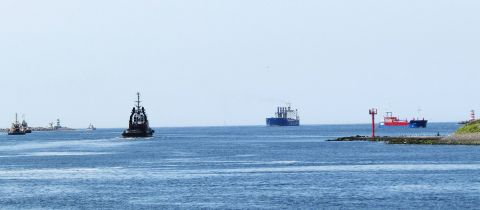 Pieren IJmuiden 20-06-25 in IJmuiden, 20 jun 2025