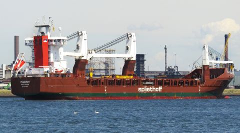 PIJLGRACHT in IJmuiden, 4 jul 2025