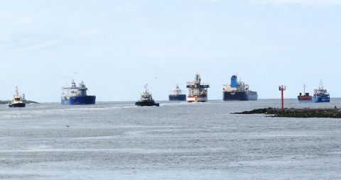 Pieren IJmuiden 29-07-25 in IJmuiden, 29 jul 2025