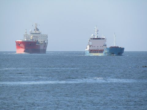 Pieren IJmuiden 15-08-25 in IJmuiden, 15 aug 2025