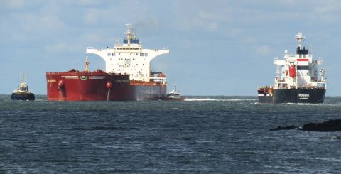 Pieren IJmuiden 05-09-25 in IJmuiden, 5 sep 2025