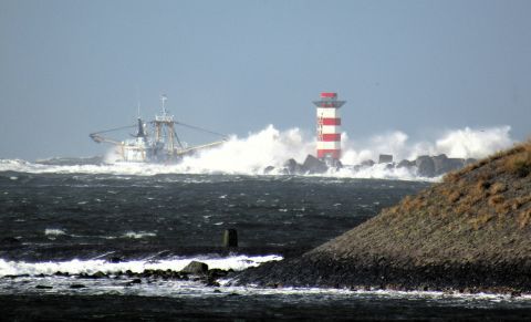Pieren IJmuiden 27-10-25 in IJmuiden, 27 okt 2025