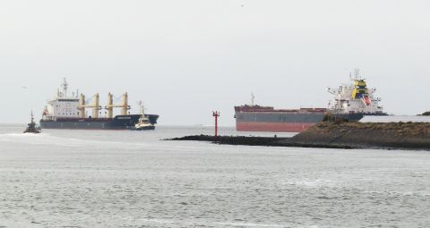 Pieren IJmuiden 29-11-25 in IJmuiden, 29 nov 2025