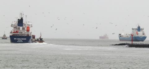 Pieren IJmuiden 01-12-25 in IJmuiden, 1 dec 2025