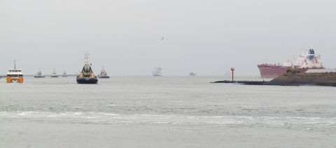 Pieren IJmuiden 15-12-25 in IJmuiden, 15 dec 2025