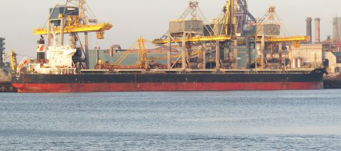 PUPLINGE in IJmuiden, 20 jan 2026