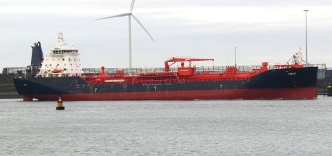 UIKKU in IJmuiden, 21 jan 2026