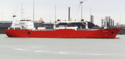 SILVER STAR in IJmuiden, 20 feb 2026