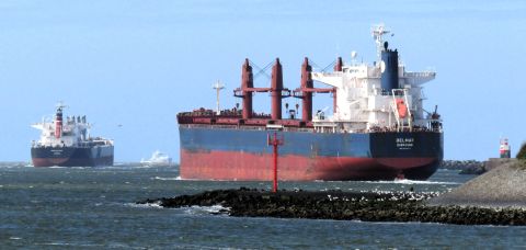 Pieren IJmuiden 05-04-26 in IJmuiden, 5 apr 2026