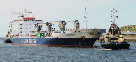 DUNEDIN STAR in IJmuiden, 29 apr 2026