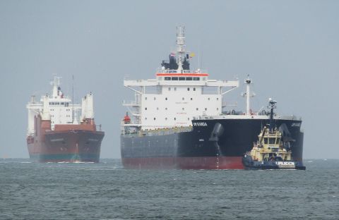 Pieren IJmuiden 17-06-26 in IJmuiden, 17 jun 2026