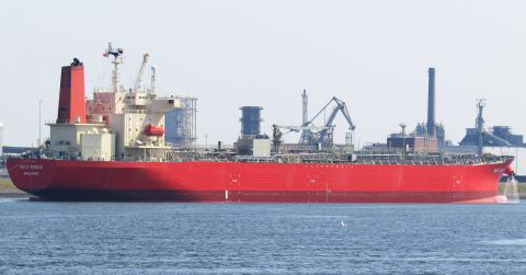 PICO BASILE in IJmuiden, 25 jun 2026