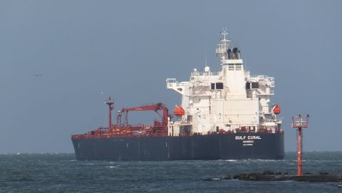 Gulf Coral in IJmuiden, 27 jun 2015