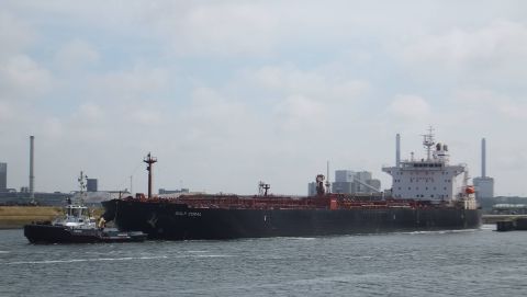 Gulf Coral in IJmuiden, 27 jun 2015