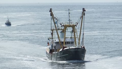 UK 47 IEDE KORNELIS in IJmuiden, 29 jun 2015