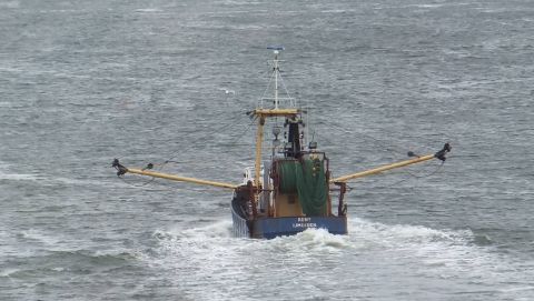 IJM-8 RONY 5-2-15 in IJmuiden, 8 jul 2015