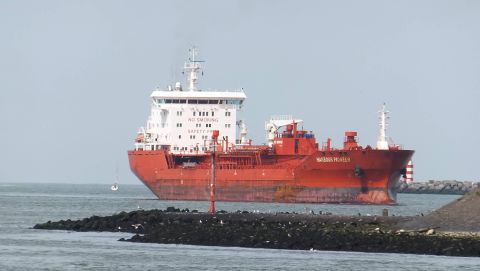 HARBOUR PIONEER in IJmuiden, 1 aug 2015