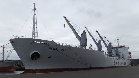 REGAL BAY in IJmuiden, 16 aug 2015