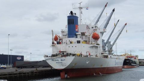 REGAL BAY in IJmuiden, 16 aug 2015