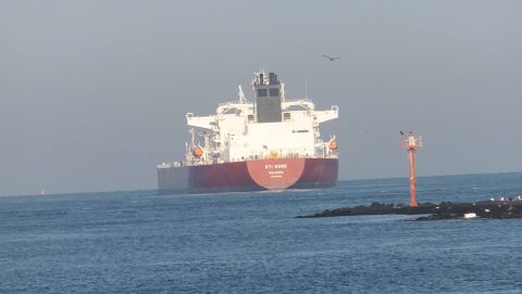 STI ROSE in IJmuiden, 20 aug 2015
