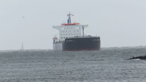 BULK SWEDEN in IJmuiden, 27 aug 2015