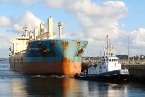 INTREPID HARVESTER in IJmuiden, 19 sep 2015