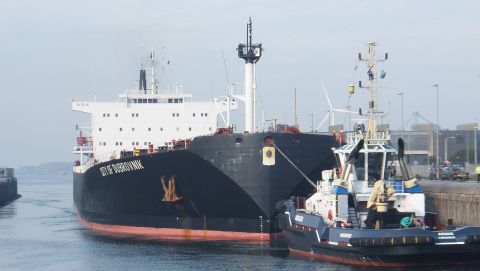 CITY OF DUBROVNIK in IJmuiden, 3 okt 2015
