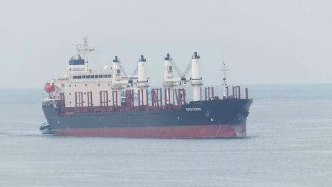 APOLLONIA in IJmuiden, 5 okt 2015