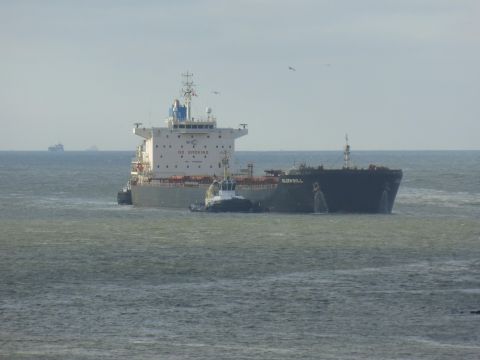 Golden Bull in IJmuiden, 1 jan 2015