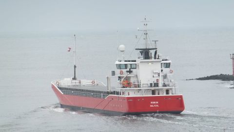 Robijn in IJmuiden, 6 nov 2015