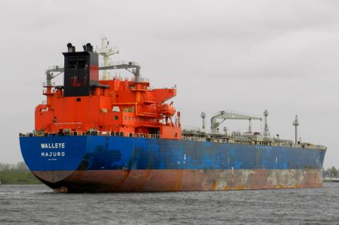 WALLEYE in IJmuiden, 9 nov 2015
