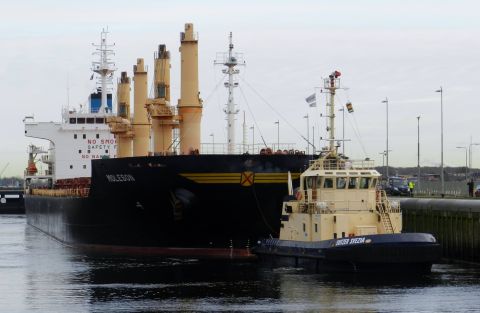 MOLESON in IJmuiden, 23 nov 2015