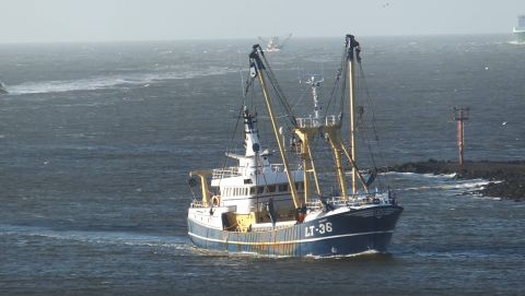 LT-36 MARGRIET in IJmuiden, 4 dec 2015