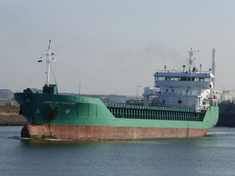 Arklow Fortune in IJmuiden, 1 jan 2014