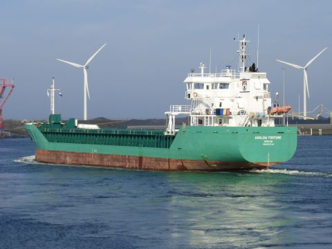 Arklow Fortune in IJmuiden, 1 jan 2014