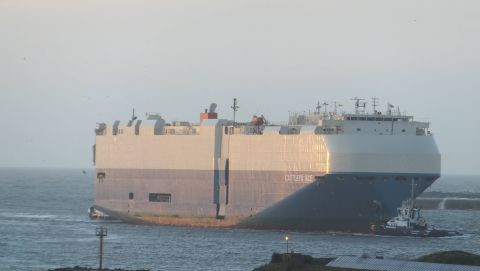 CATTLEYA ACE in IJmuiden, 23 dec 2015