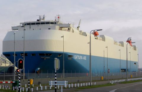 CATTLEYA ACE in IJmuiden, 24 dec 2015