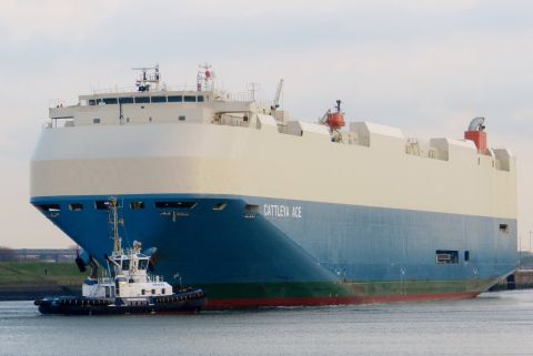 CATTLEYA ACE in IJmuiden, 24 dec 2015